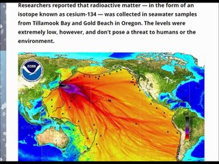 Radiation from Fukushima disaster in water reaches the US