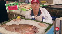 Best Fish Pranks Best Of Just For Laughs Gags