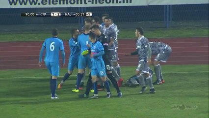Massive Brawl During Cibalia vs Hajduk!