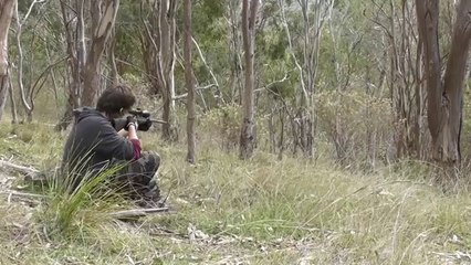 FOX Catch n Cook _ TDB