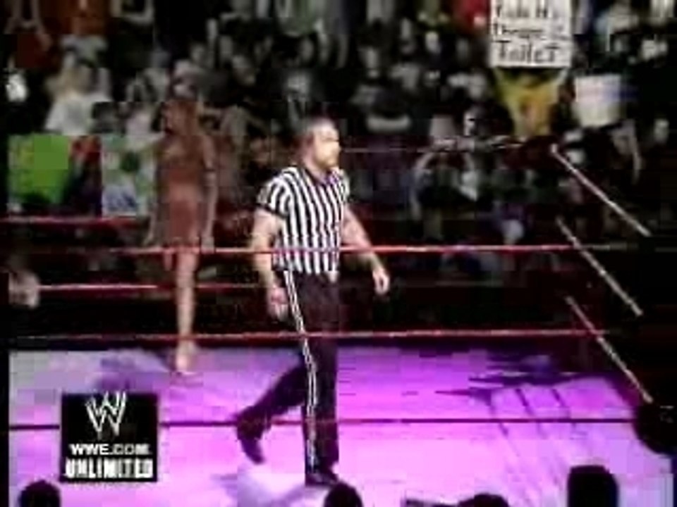 Triple h seg