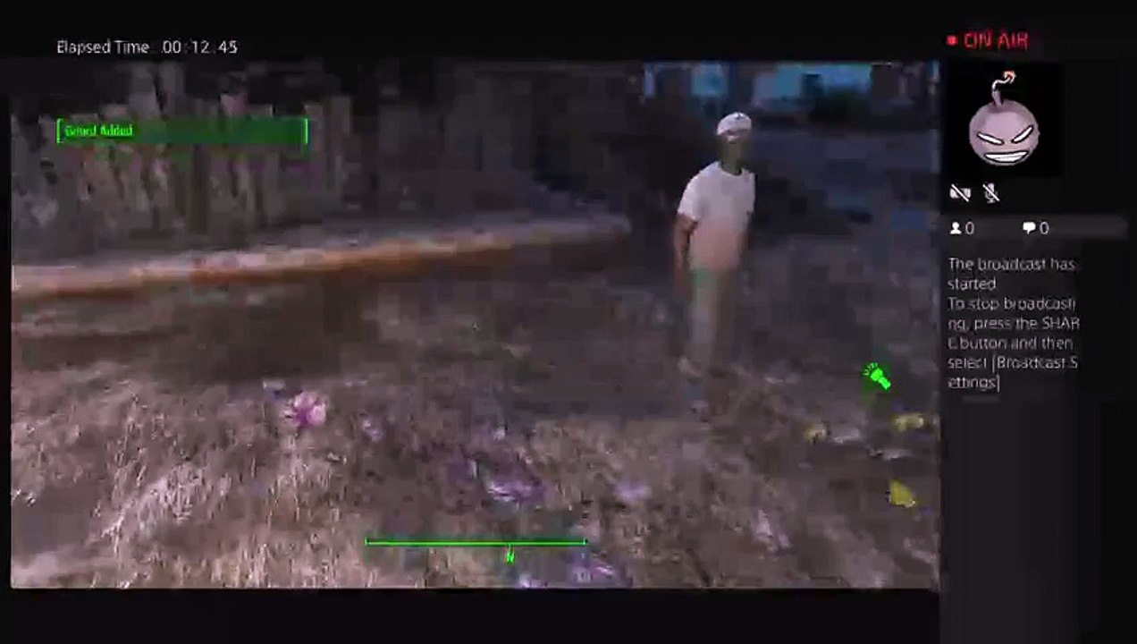 Fallout 4 (5)