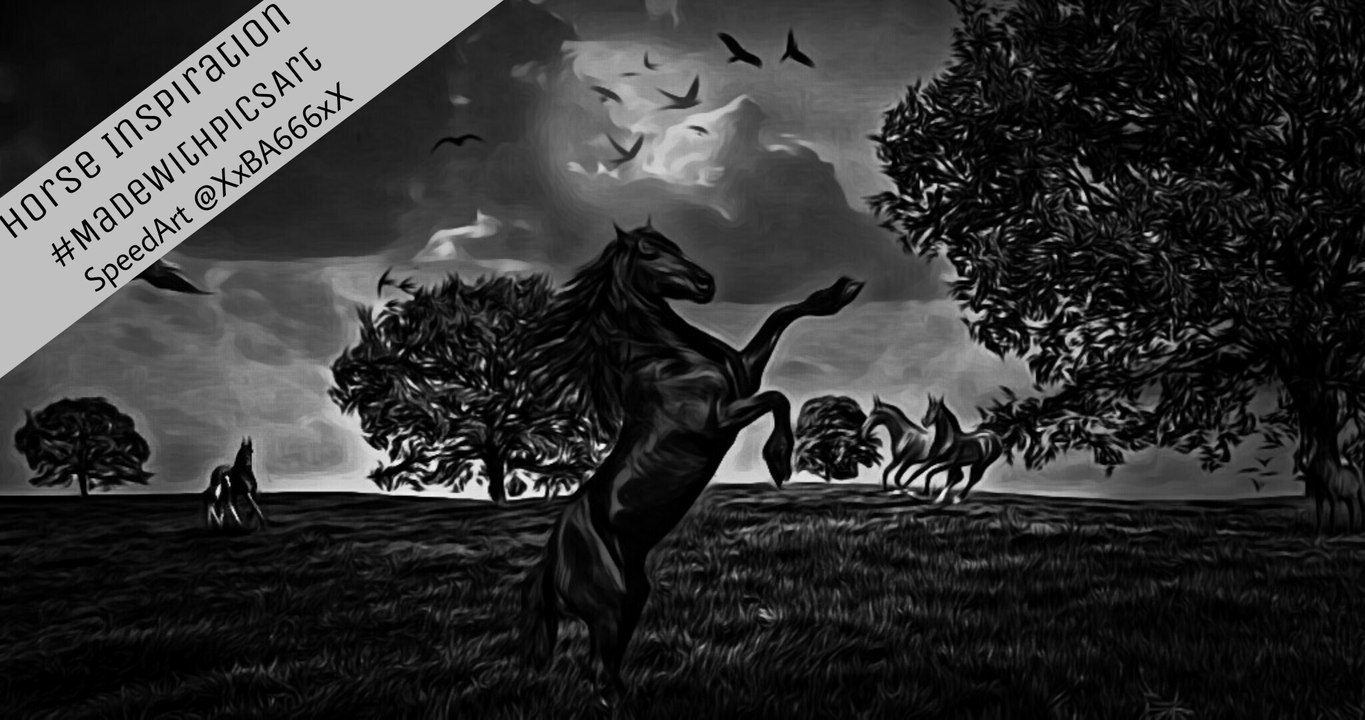 Horse Inspiration - #MadeWithPicsArt @XxBA666xX #SpeedArt