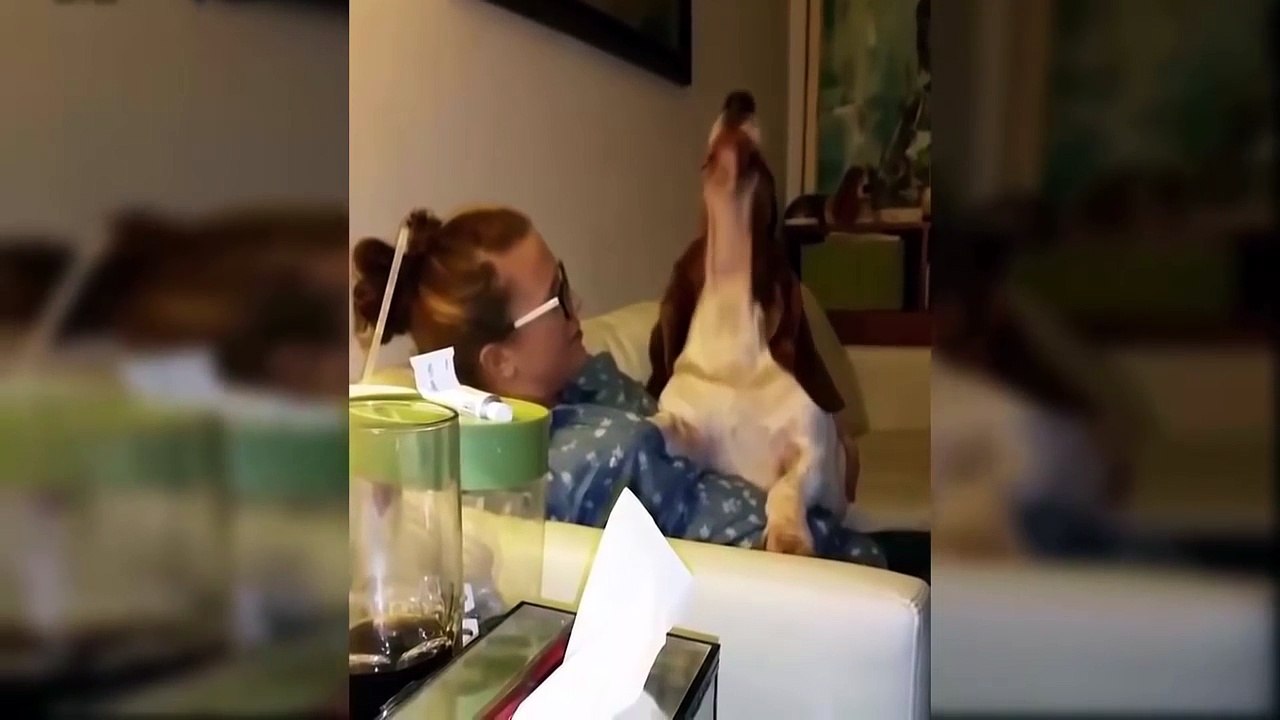 Funny Talking Dogs Compilation 2016 - Talking Dog Videos