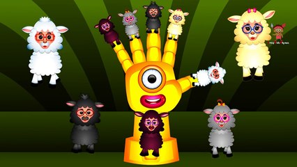 The Finger Family Song | Finger Family Sheep | Daddy Finger Family Rhymes for Children
