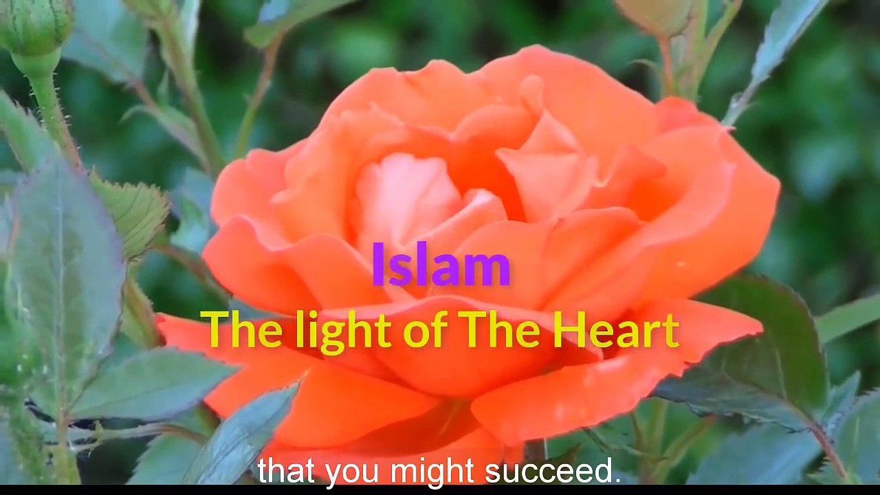 Jesus (A.S)'S Birth In Quran Contradicts With Science ~ Dr Zakir Naik