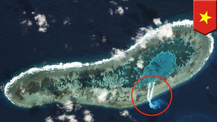 Vietnam begins dredging on Ladd Reef in disputed South China Sea