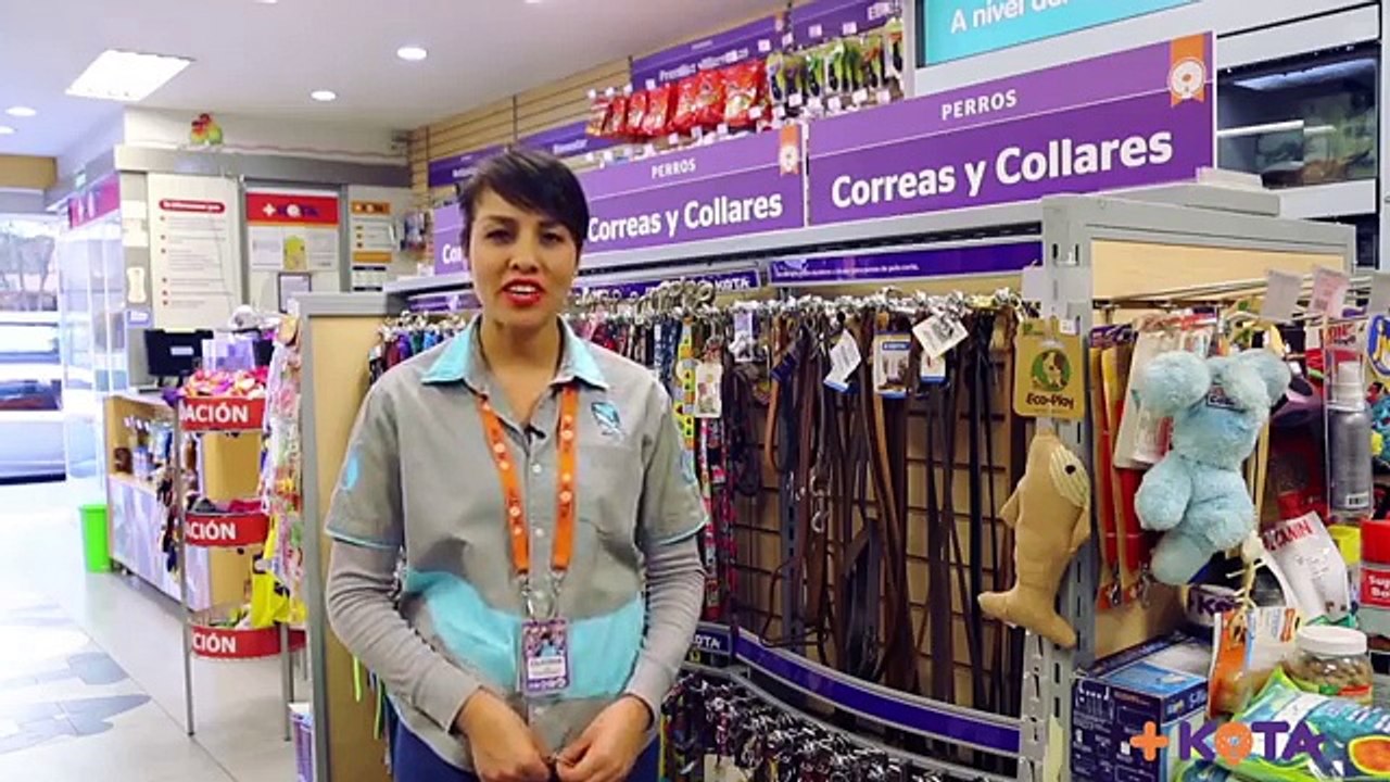 +KOTA ¿Cómo elegir la correa ideal para tu maskota