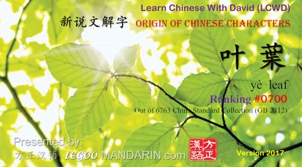 Origin of Chinese Characters - 0700 叶葉 yè  leaf - Learn Chinese with Flash Cards