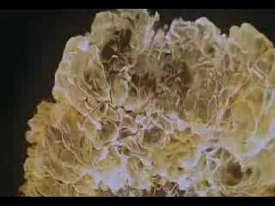 Montage vaisseau Oris Stargate sg1