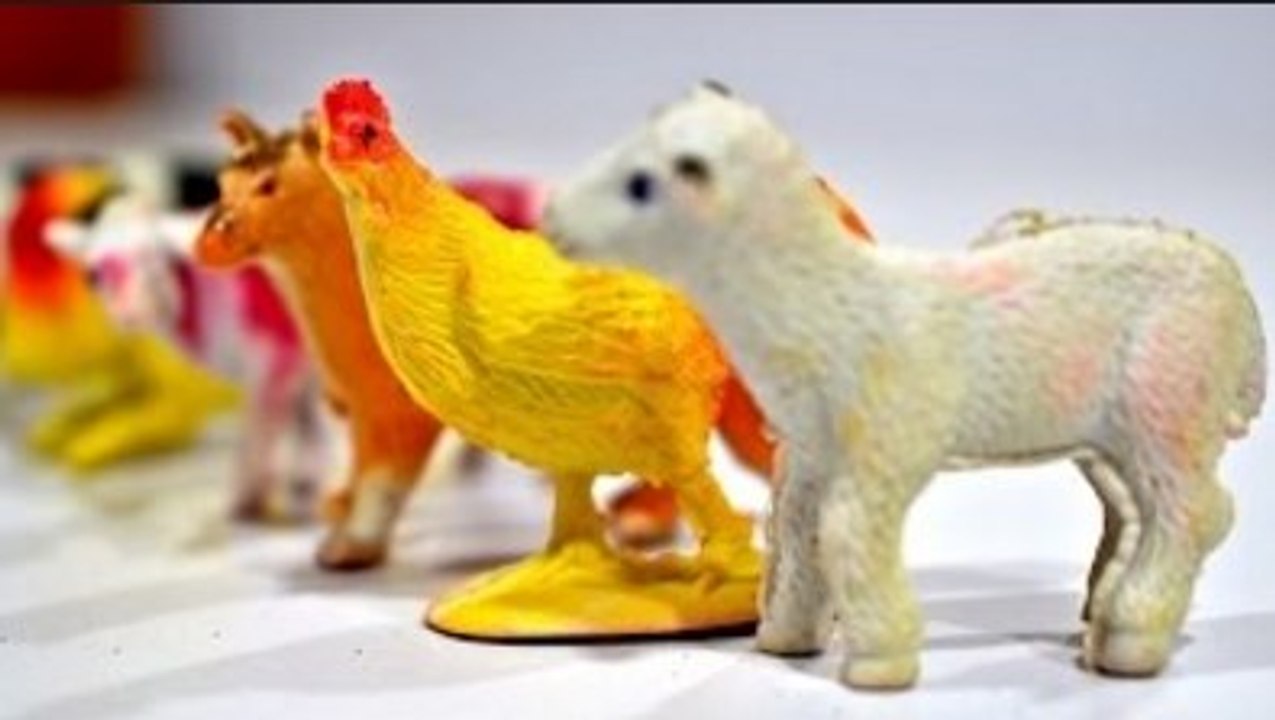 Play With Animals That Peppa Pig Loves -- Toys For Kids