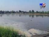 25-ft breach in Narmada canal submerges farms , Banaskantha - Tv9 Gujarati