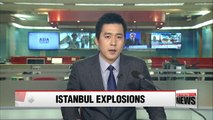 Istanbul terror bombings kill at least 29, injure 166