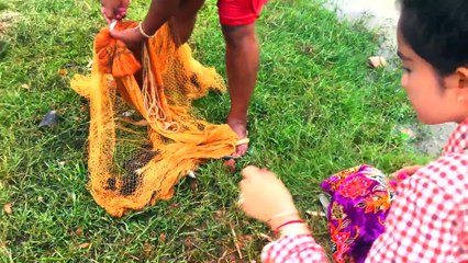 Beautiful Girl Fishing | Fishing at Rice Field | Cambodian Fishing