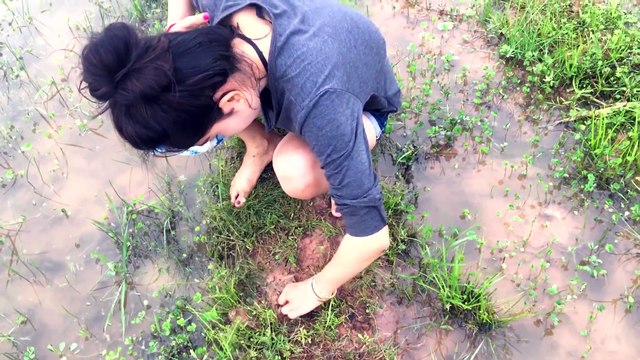 Beautiful Girl Fishing Crab | Fishing Crab at Rice Field | Cambodian Crab