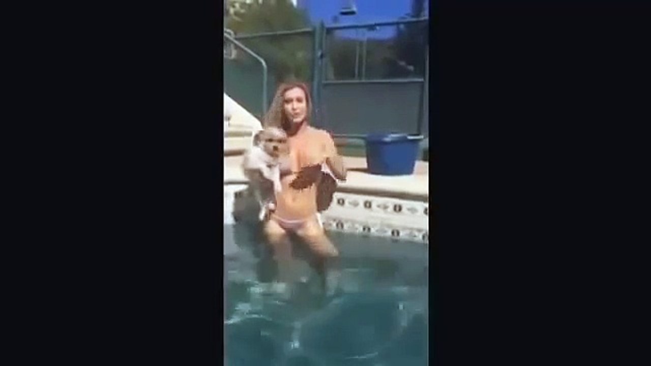 Funny Videos