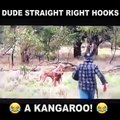 Man Squares Up & Punches A Kangaroo In The Face THUG LIFE