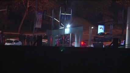 Istanbul Besiktas Turkey: Stadium blasts kill 38 people