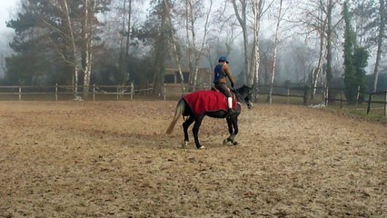 demon de midi à 3 ans M4H02185