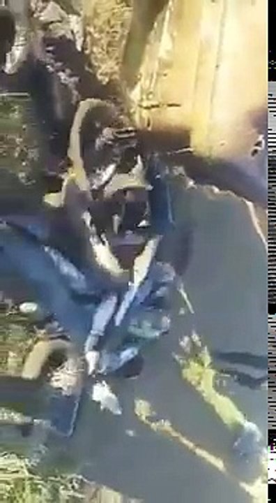 Вот это я понимаю рыбалка