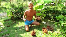 Plant a Coconut palm, Koh Phangan, Thailand