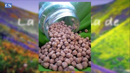 Los Garbanzos