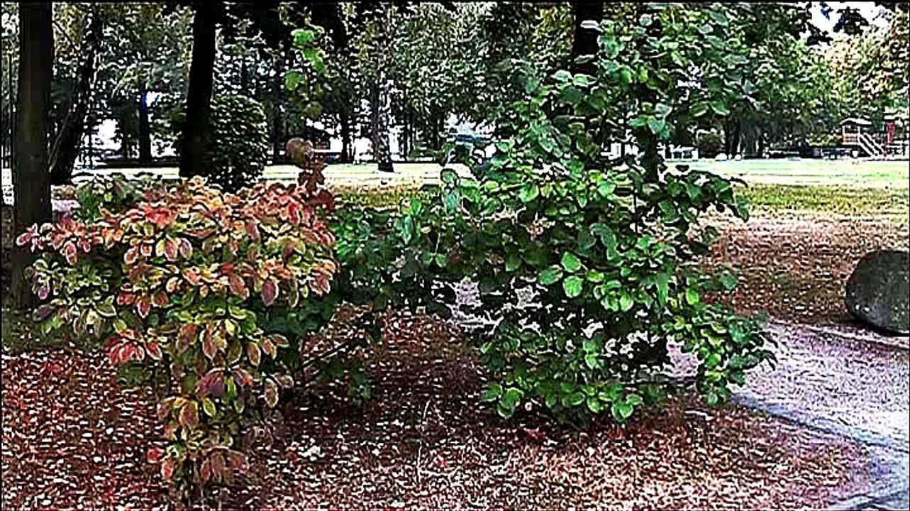 Auf großer Tour durch Emmelshausen