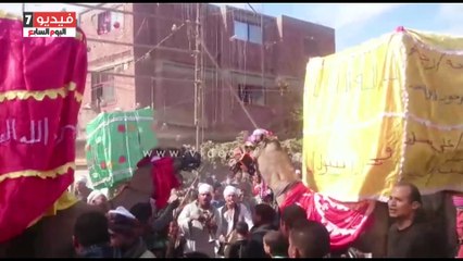 بالفيديو.. ختام مولد "أبو حمد" بالمزمار البلدى والجمال