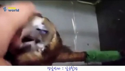 다오안마방 010⇔4373⇔1910『다오안마』【다오안마방,다오안마실장,】∑다오안마위치∑다오안마추천[[다오안마위치 다오안마추천