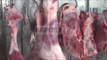 Report TV - AKU kontrolle për mishin, vendos 170 gjoba: Mos blini asgjë pa etiketë
