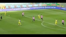 Valter Birsa  Goal  - Chievo vs Palermo 1-0  [11⁄12⁄2016] HD