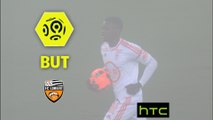 But Benjamin MOUKANDJO (27ème) / Toulouse FC - FC Lorient - (3-2) - (TFC-FCL) / 2016-17