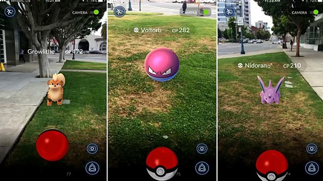 Egyptian Islamic Institution Issues Fatwa On Pokémon Go