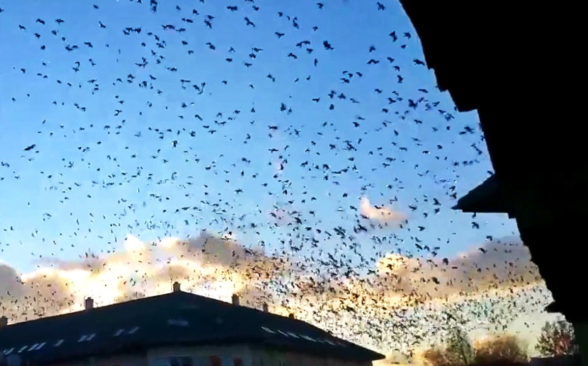 Another Reason To Use An Umbrella If You Go Out