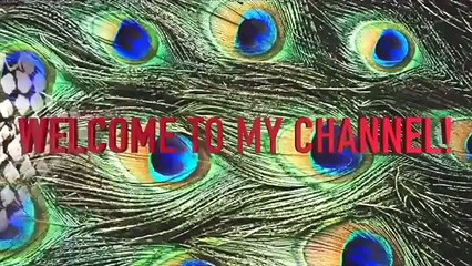 Lion Breaks Hyenas Back Hyena , Lion And Wildest Attacks