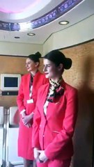 Private Jet Of Rich Abu Dhabi Peoples.