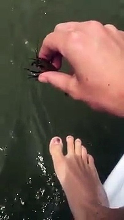 Insolite: il pêche avec son pied. Et voyez le resultat