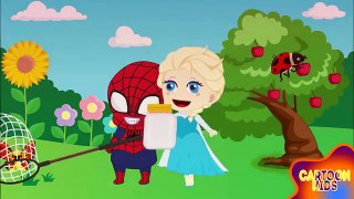 Spiderman and Frozen Elsa Baby EXPLORING NEW LANDS New Episodes! Finger Family Songs Nursery Rhymes
