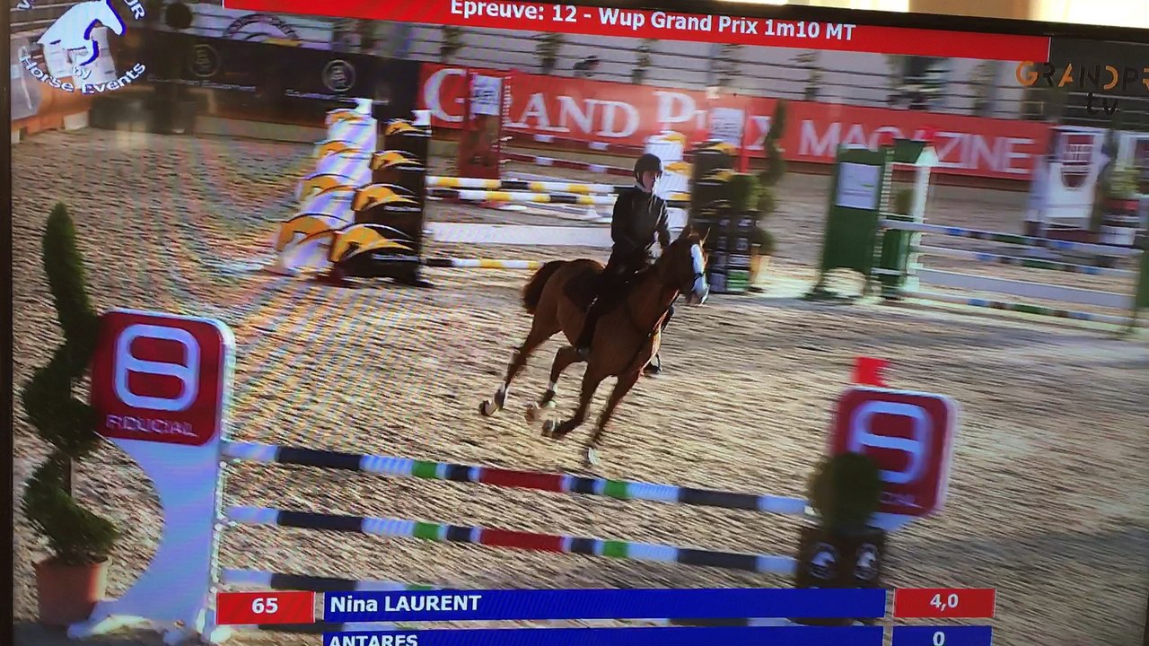 Nina et antares . winter tour chazey 2016.  1m10 