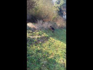 Balade cool au bord de l'eau