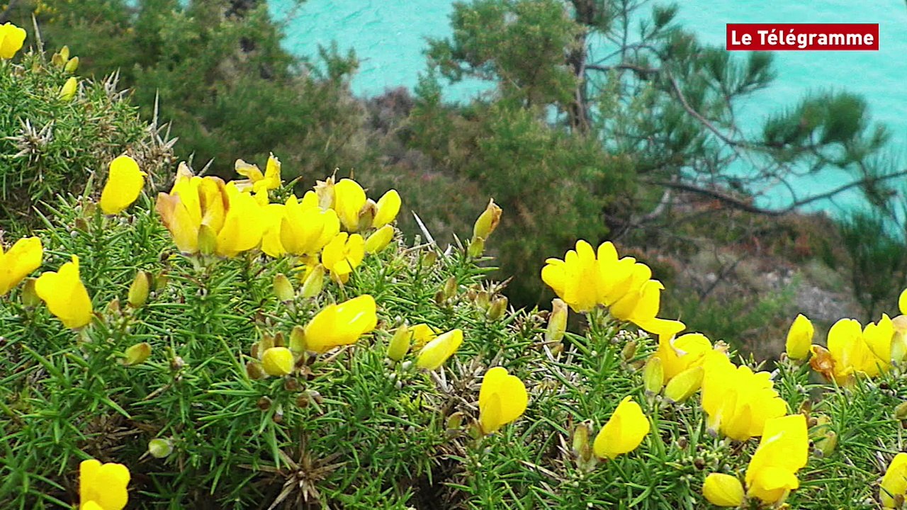 Bretagne. Le zapping du week-end