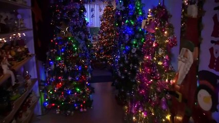Couple fill house with over 100 Christmas trees