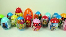 Surprise Egg SPECIAL EDITION TOY Paw Patrol Minion Minnie Mouse Turtles Ninja Spiderman
