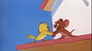 Tom-and-Jerry-The-Flying-Cat -