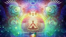 Comedians on Psychedelics