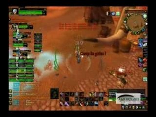 Raid Ogrimmar (Raid delire^^)