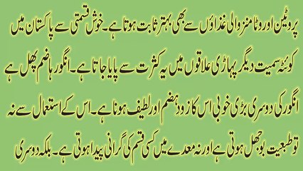 Grapes Benefits !! Angoor Ke Faide Angoor Benifits in Urdu