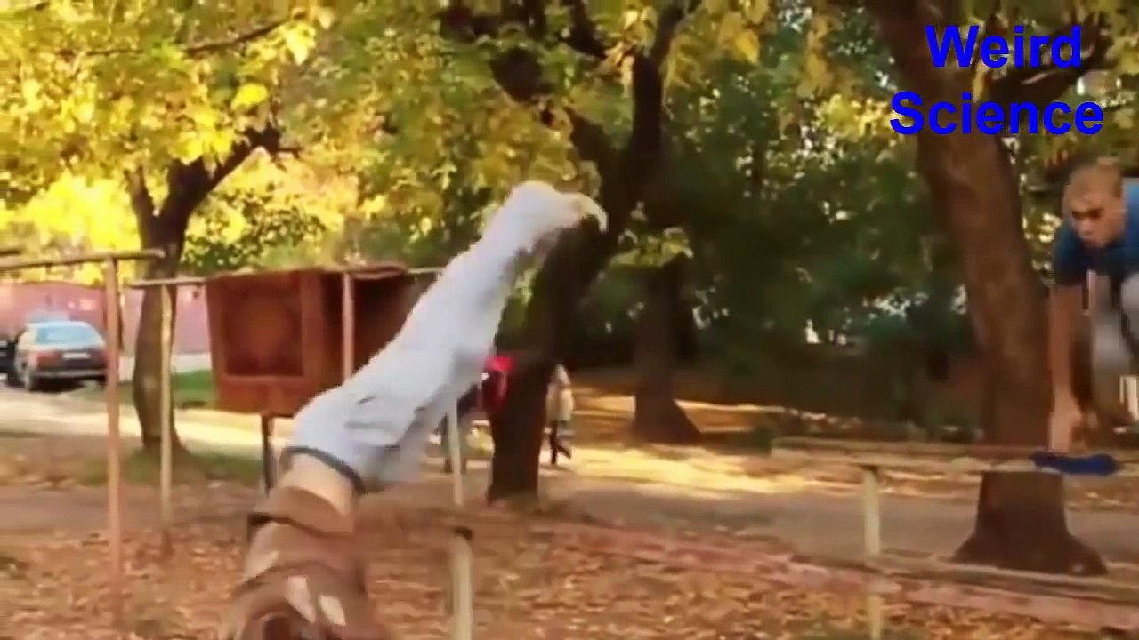 Freerunning Fails and Parkour Fails Best Parkour Compilation 2016