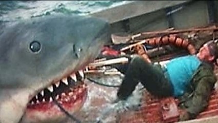 Hombre es comido por tiburon en vivo ANALISIS