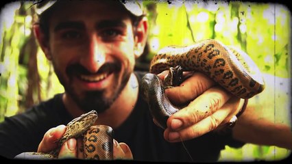 hombre se deja comer vivo por una anaconda comido vivo